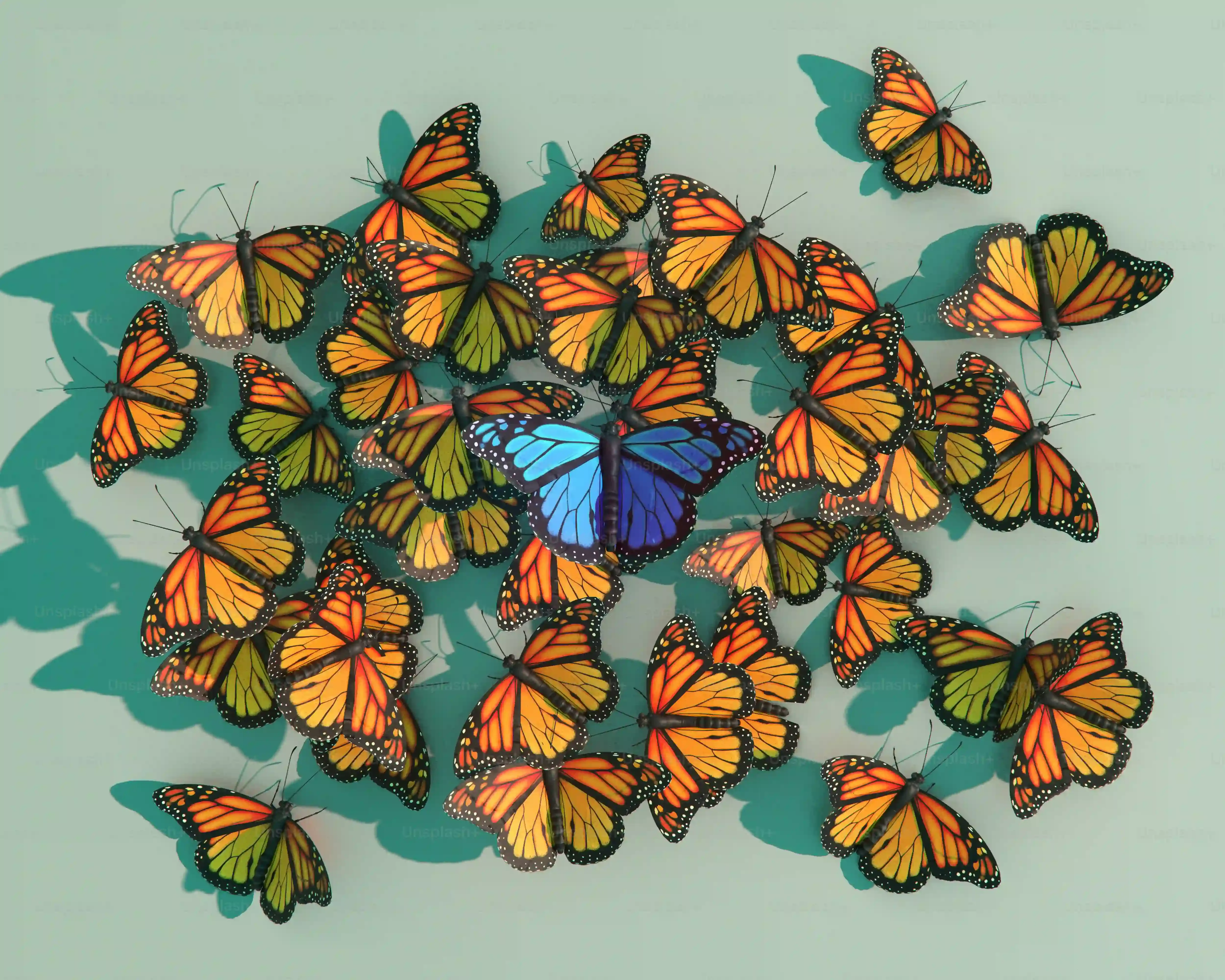 Protecting These 9 Butterflies: Why Their Decline Matters