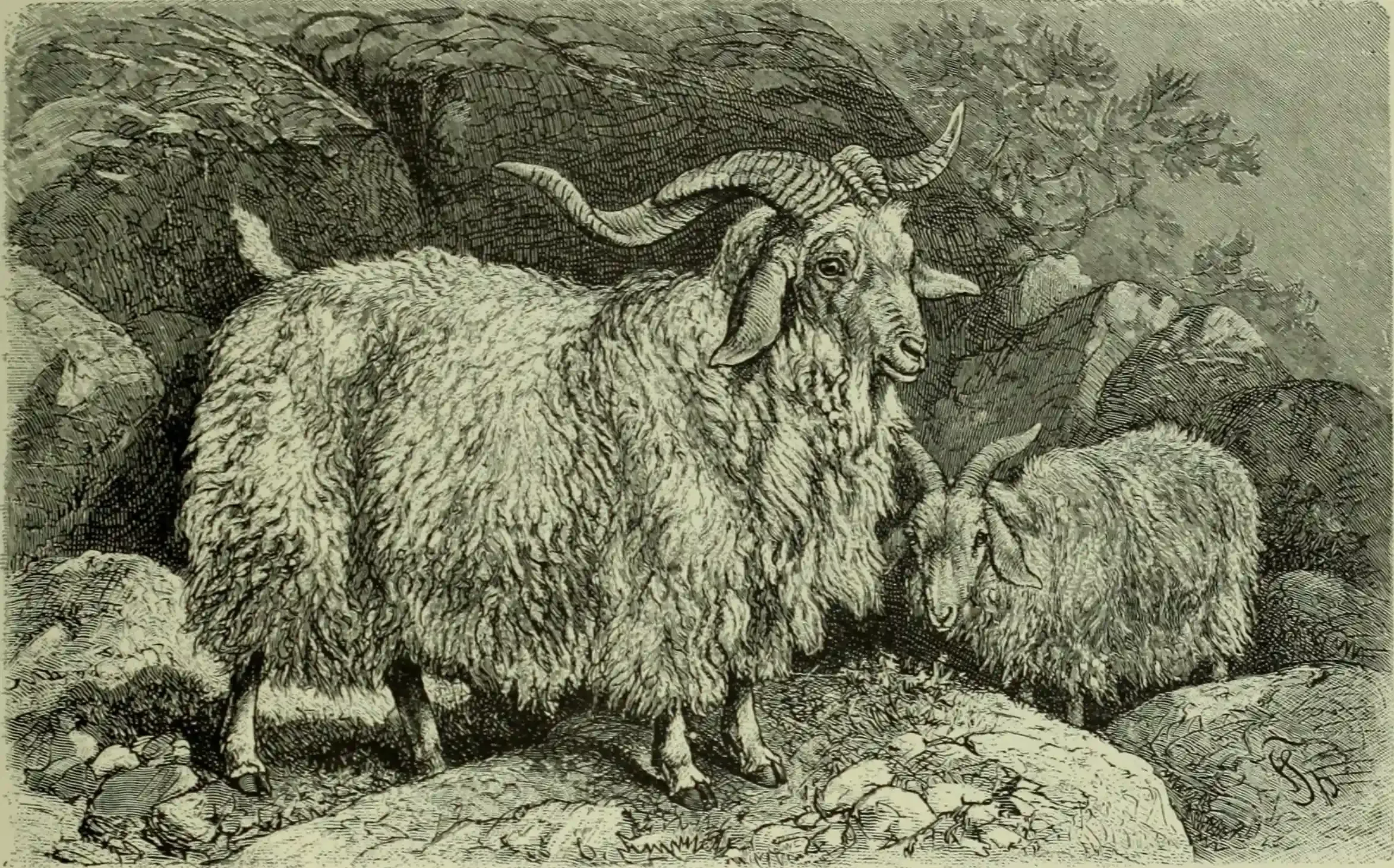 Refining Your Shape and Living Your Best Curly Hair Life