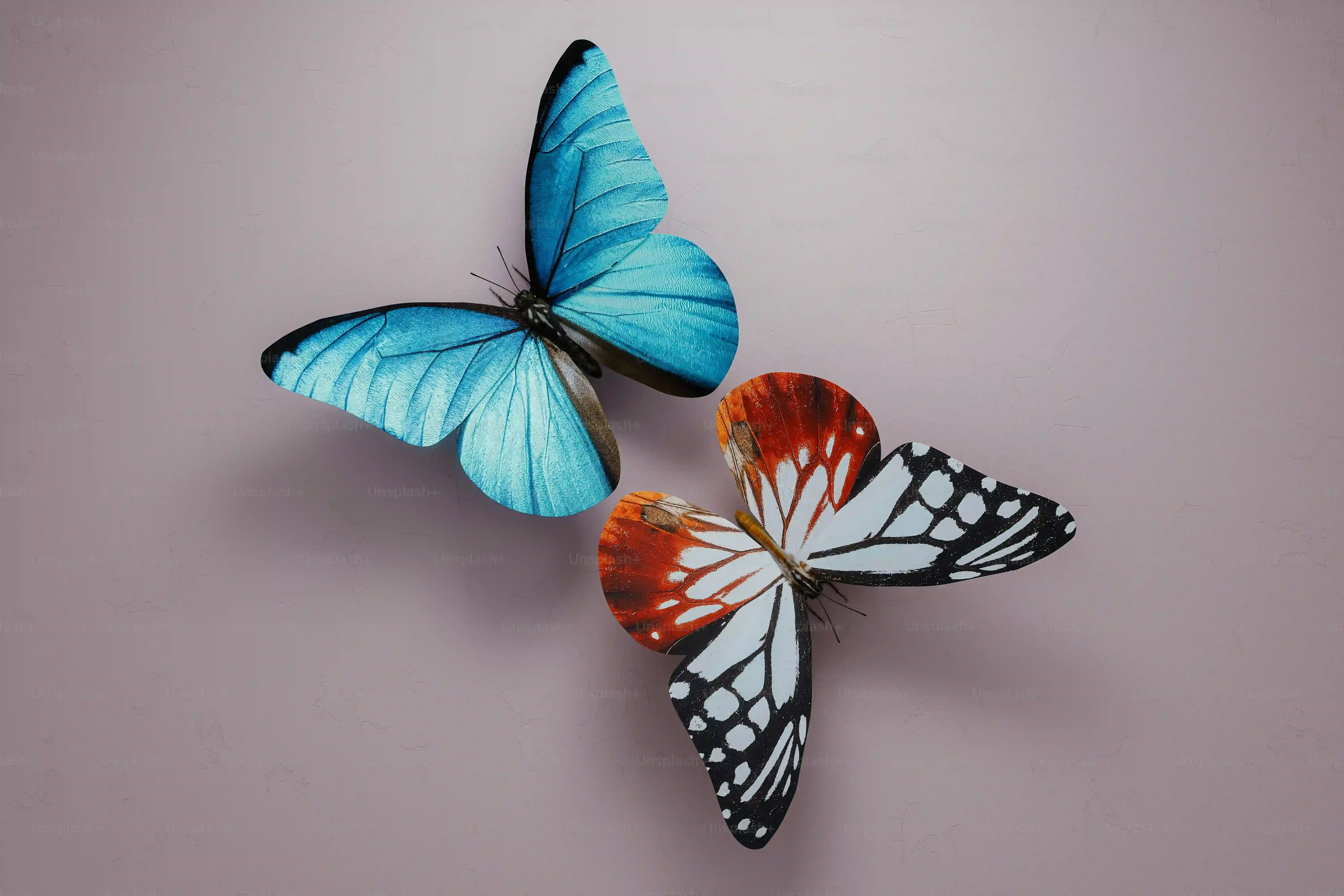 Troubleshooting Your Butterfly Cut at Home: Fixing Common Glitches